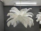 Nordic Ostrich Feather Pendant Lamp – Elegant & Ethereal Glow - Lumos Glows Warm light white  customized 100cm 34 feathers