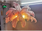 Nordic Ostrich Feather Pendant Lamp – Elegant & Ethereal Glow - Lumos GlowsWarm light white  customized 100cm 34 feathers
