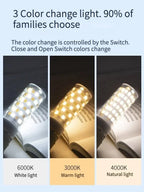 Rylee Gold Edged Crystal And Copper Ring Chandelier - Lumos Glows136:200003939Neutral light;200000795:367Ceiling 30CM